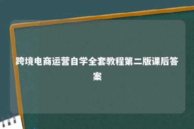 跨境电商运营自学全套教程第二版课后答案 跨境电商运营教程百度云