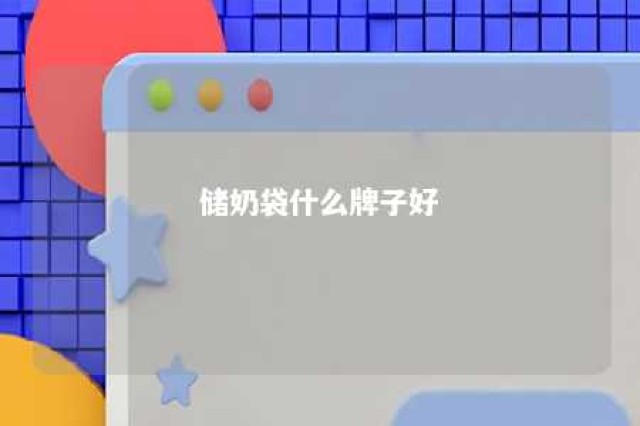 储奶袋什么牌子好 储奶袋什么牌子好 知乎