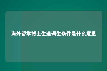 海外留学博士生选调生条件是什么意思