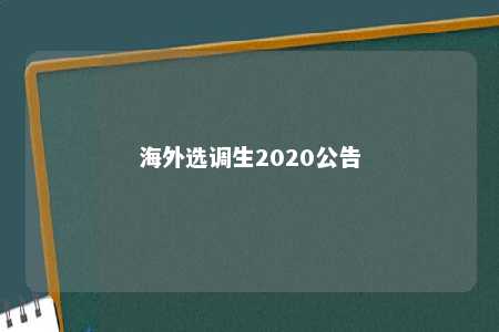 海外选调生2020公告