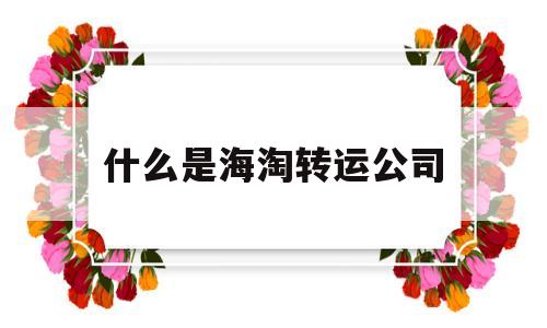 什么是海淘转运公司