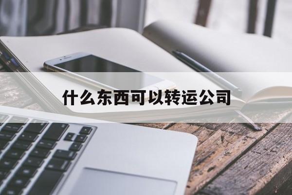 什么东西可以转运公司